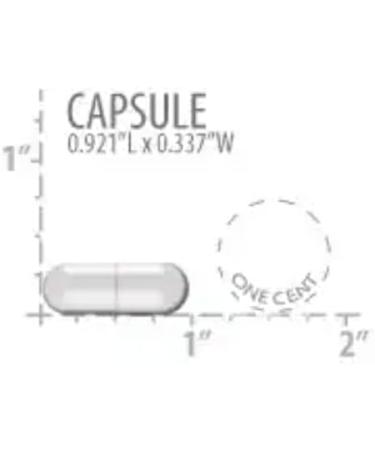 Buy Life Extension Super R-Lipoic Acid 240 mg - 60 Vegetarian Capsules (Pack of 2) | International Shipping Available - Buy Online on GoSupps.com