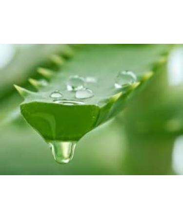 Petitfee Artichoke Soothing Hydrogel Eye Patch - Hydrate & Soothe Dark Circles | International Shipping Available - Buy Online on GoSupps.com