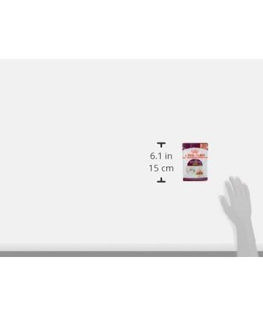 Royal Canin Sensory Smell in Gravy Wet Cat Food (48 x 85g) - Buy Online on GoSupps.com