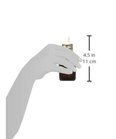 ESTEE LAUDER Advanced Night Repair Recovery Complex II 1.7 oz - Skin Care Serum - Buy Online on GoSupps.com