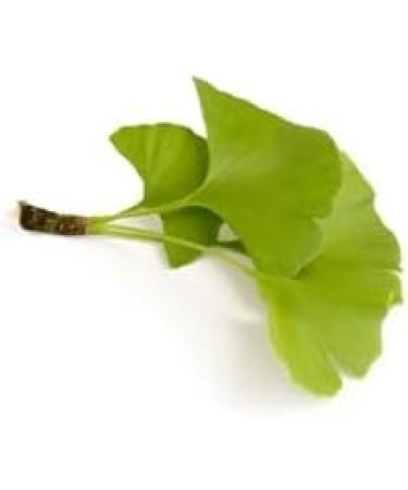 Herboristeria du Valmont Organic Ginkgo Biloba herbal tea cut leaf 100 grams - Buy Online on GoSupps.com