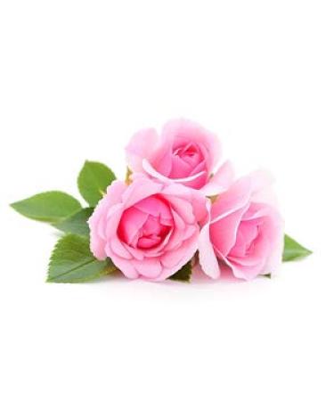 Petitfee Rose Wash Off Mask - Boost Collagen Reduce Dark Spots | Antioxidants & Vitamins for Youthful Skin - 3.52 oz International Shipping - Buy Online on GoSupps.com