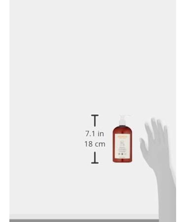 erbaviva Organic Baby Lotion 16 Fl Oz - Natural, Gentle Moisturizer for Baby's Delicate Skin - Buy Online on GoSupps.com