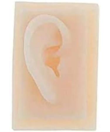 Silicone Ear Model for Educational Kit for The Acupuncture Treatment of The School Model of Human Ear Silicone-Size Natural 1 1 1 Pair - Buy Online on GoSupps.com