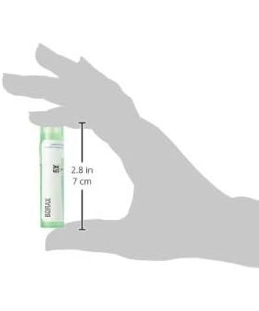 Buy Boiron Borax 6X MD 80 Pellets for Canker Sores - Fast International Shipping - Buy Online on GoSupps.com