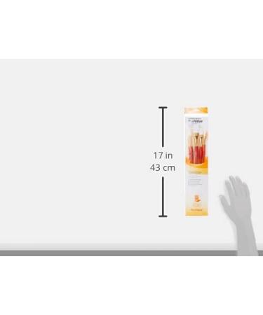 Synthetic White Taklon Brush Set - 5 Pack | High Quality Value Brushes - Buy Online on GoSupps.com