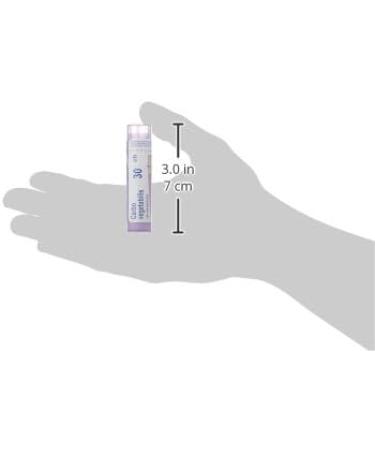 Carbo Vegetabilis 30ch Boiron Homeopathic Medicine - Buy Online on GoSupps.com