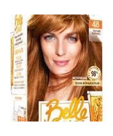 Garnier Coloring No. 48 Natural Copper