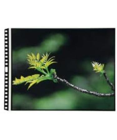 ProFolio by Itoya PolyGlass Refill Pages 10-Pack - 9 x 12 Inches Portrait - Buy Online on GoSupps.com