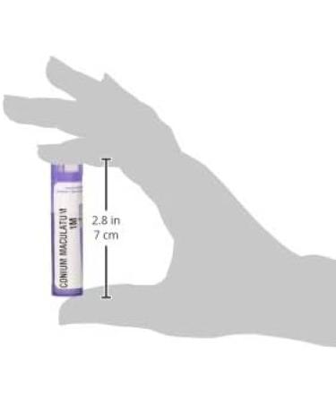 Boiron Conium Maculatum 1M MD - 80 Pellets for Head Movement Dizziness Relief | International Shipping - Buy Online on GoSupps.com