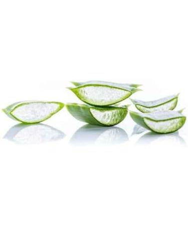 So'bio Etic Nourishing repairing care - Hydra Aloe Vera - 50 ml tube - Buy Online on GoSupps.com