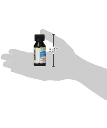 Iodine Supplement (Pack of 2) - Promote Thyroid Health and Metabolism - Buy Online on GoSupps.com