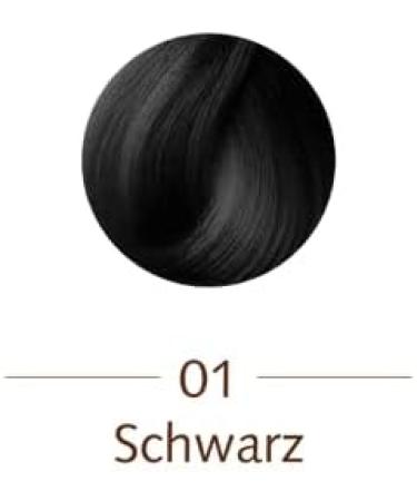 Sanotint - Sanotint: 01 Black - 125 Ml - Buy Online on GoSupps.com