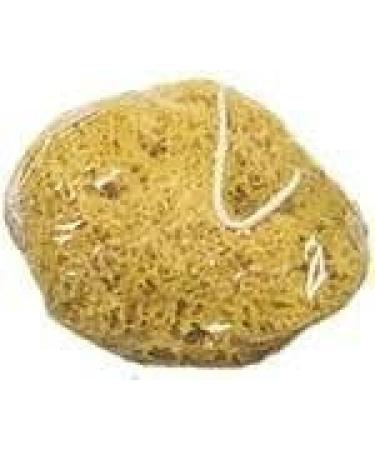 Croll & Denecke Natural Sponge G5 - 19cm | Eco-Friendly Soft & Durable | International Shipping Available - Buy Online on GoSupps.com
