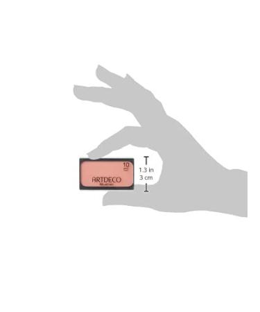 ARTDECO Shimmering Blusher 5g - Long-Lasting Gentle Touch for Radiant Cheeks | International Shipping Available - Buy Online on GoSupps.com
