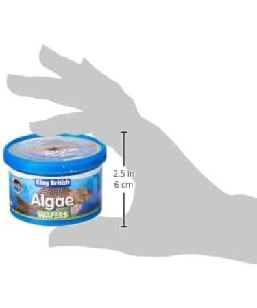 King British Algae Wafer 40g Fish 40 g (Pack of 1) - Buy Online on GoSupps.com