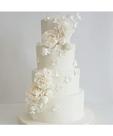 Special Ingredients Everest Powder 250g - Titanium Dioxide Replacement - Vegan Friendly, Gluten Free, Non-GMO - Kosher & Halal Certified - Buy Online on GoSupps.com