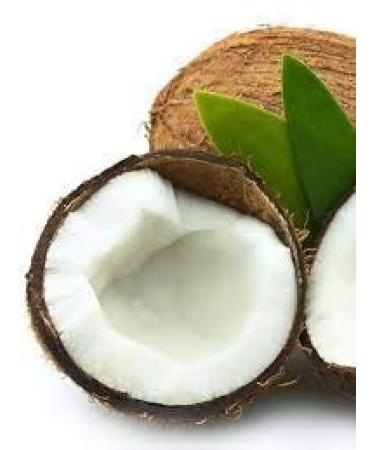 Holiday Aromatherapy Candles - Spruce & Fir | 3.1 oz Apothecary Glass | International Shipping - Buy Online on GoSupps.com