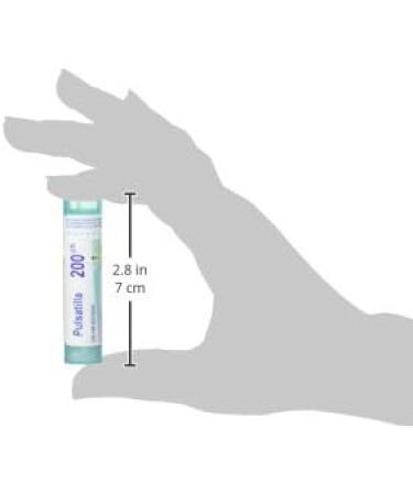 Pulsatilla 200ch Boiron Homeopathic Medicine 200CH 4 g (Pack of 1) - Buy Online on GoSupps.com
