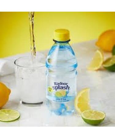Radnor Splash Still Lemon & Lime Flavoured Water 500ml (Pack of 12) | Refreshing Hydration | Zesty Citrus Bliss | Sugar-Free | Naturally Flavored | Zero-Calorie Delight - Buy Online on GoSupps.com