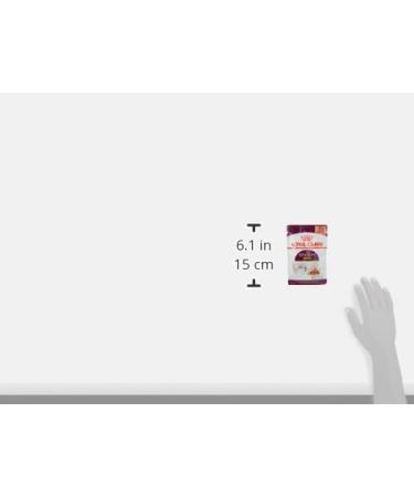 Royal Canin Sensory Smell in Gravy Wet Cat Food (12 x 85g) - Buy Online on GoSupps.com