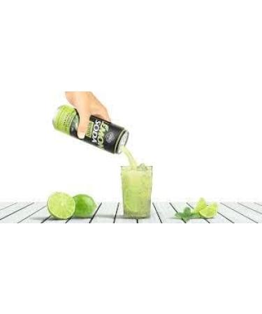  Italian Gourmet E.R. Crodo Pack of 48 Southern Italian Lime Juices Refreshing and Fruity 330ml Disposable Box + Italian Gourmet Polpa di Pomodoro 400g - Buy Online on GoSupps.com