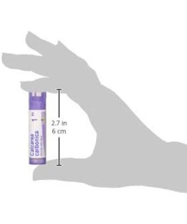 Buy Boiron Calcarea Carbonica 1M MD - 80 Pellets for Cradle Cap Relief | Fast International Shipping - Buy Online on GoSupps.com
