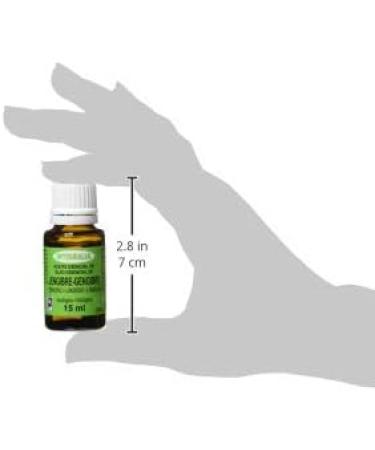 Integralia Body Oil 1 piece - Buy Online on GoSupps.com