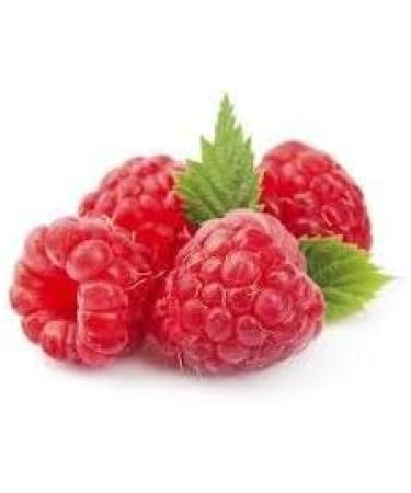 Simply Delish Sugar Free Instant Raspberry Jelly 8 g (Pack of 6) - Buy Online on GoSupps.com
