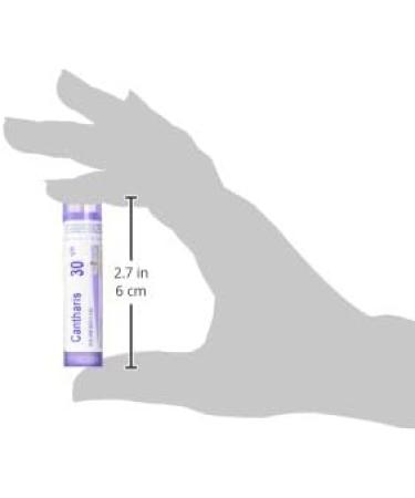 Cantharis 30ch Boiron Homeopathic Medicine - Buy Online on GoSupps.com