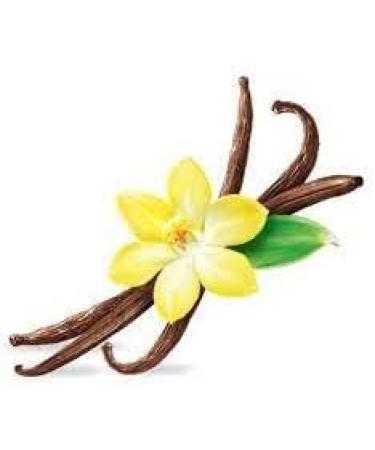 100% Natural Bourbon Vanilla Powder from Madagascar - 20gr Net Ground Whole Vanilla Pod - Buy Online on GoSupps.com