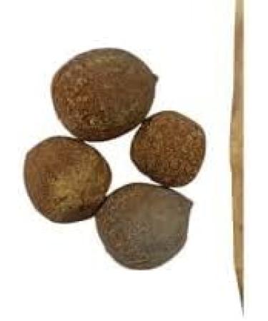 Neel Ayurvedics Bijora Powder 300 GM - Buy Online on GoSupps.com