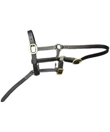 Cwell Equine FOAL LEATHER HEAD COLLAR HALTER BLACK - Buy Online on GoSupps.com
