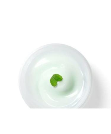 Dr.G Red Blemish Cica Soothing Cream Duo 50ml*2pcs - Skin Care Set for Calming and Healing Blemishes - Buy Online on GoSupps.com