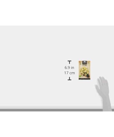 Semillas Ecologicas - Manzanilla Matricaria Chamomilla (0 g - Organic) - Buy Online on GoSupps.com