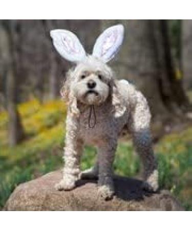 Midlee Small White Bunny Ears for Dogs with Tail - Adorable Costume Accessory - Buy Online on GoSupps.com