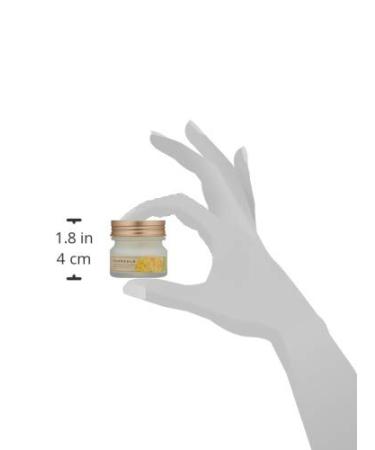 The Face Shop Calendula Essential Moisture Eye Cream - Lightweight Non-Greasy Formula for Soothing Eye Comfort - Buy Online on GoSupps.com