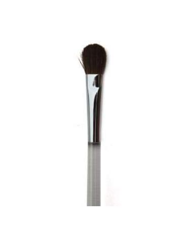 Giussani Rapid Eyeshadow brush P305 and cosmetics 100 g