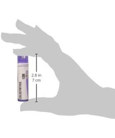 Boiron Colocynthis 10M MD - 80 Pellets for Abdominal Cramps Relief - Fast International Shipping - Buy Online on GoSupps.com