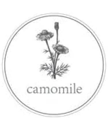 Elave Junior Cream Tube 125ml - Buy Online on GoSupps.com