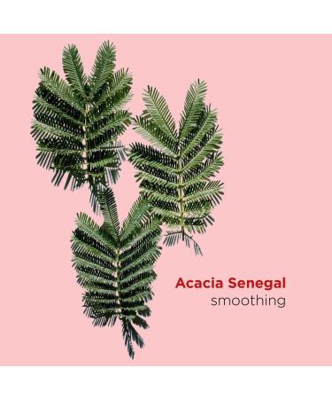 Clarins Instant Smooth Perfecting Touch Makeup Primer 0.5 oz - Transform Your Style with the Best Innovation Today! - Buy Online on GoSupps.com