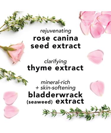Discover Mario Badescu Facial Spray with Aloe, Herbs and Rosewater 8.0 oz - Elevate Your Style Instantly! - Buy Online on GoSupps.com