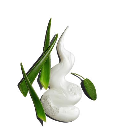 Jack Black Pure Clean Daily Facial Cleanser 6.0 oz - Discover Premium Quality Shop now! - Buy Online on GoSupps.com