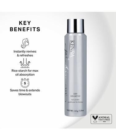 Discover Kenra Professional Platinum Dry Shampoo 5.0 oz - Elevate Your Style Instantly! - Buy Online on GoSupps.com