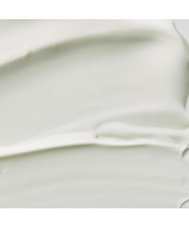 Discover Mario Badescu Oil Free Moisturizer SPF 30 2.0 oz - Elevate Your Style Instantly! - Buy Online on GoSupps.com