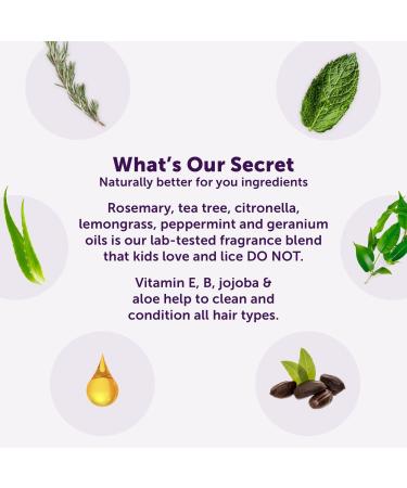 Fairy Tales Rosemary Repel Hairspray 8.0 oz - Discover Premium Quality Shop now! - Buy Online on GoSupps.com