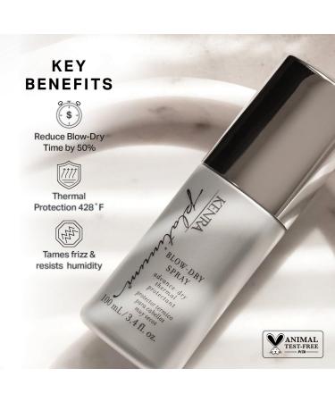 Discover Kenra Professional Travel Size Platinum Blow-Dry Spray 1.7 oz - Elevate Your Style Instantly! - Buy Online on GoSupps.com