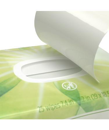 Aveeno Positively Radiant Oil-Free Makeup Removing Facial Wipes 25 ct - Transform Your Style with the Best Innovation Today! - Buy Online on GoSupps.com