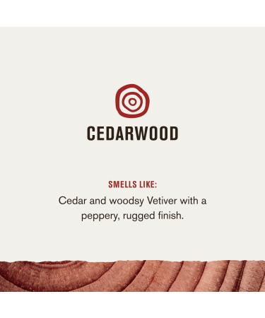 Every Man Jack Cedarwood Men's Long-Lasting Deodorant 3.0 oz - Discover Premium Quality Shop now! - Buy Online on GoSupps.com