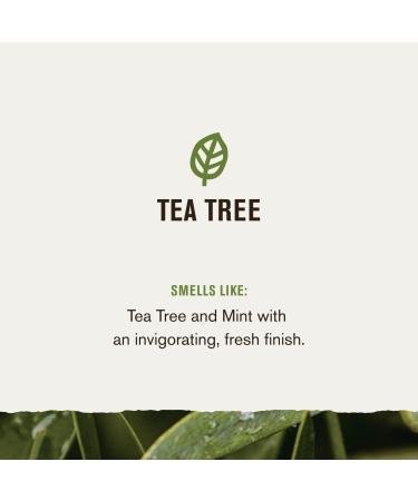 Every Man Jack Tea Tree Men's 2-in-1 Thickening Shampoo + Conditioner 13.5 oz - Transform Your Style with the Best Innovation Today! - Buy Online on GoSupps.com